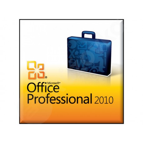 Microsoft Office 2010 Professional CZ