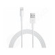 Originální USB kabel Lightning pro Apple iPhone / iPod / iPad / AirPods bílý 1m