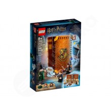 LEGO® Harry Potter™ 76382 Magické chvíle z Bradavice: hodina premeny