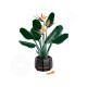 LEGO® Botanicals 10289 Strelícia kráľovská