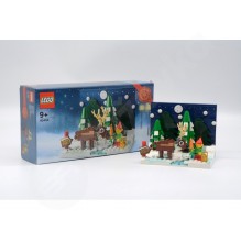 LEGO® 40484 Santova predzáhradka