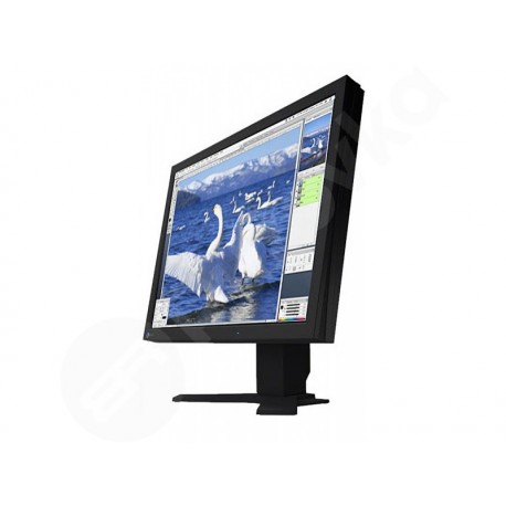 21,3" AS-IPS EIZO ColorEdge CG211 DVI USB 1600x1200 černý