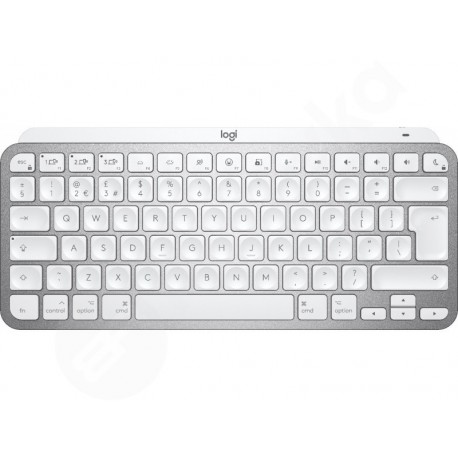 Logitech MX Keys Mini pre MAC US/INT šedý (920-010526)