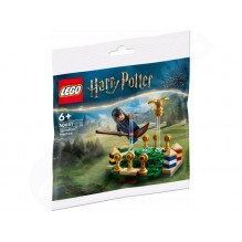 LEGO® Harry Potter™ 30651 Famfrpálový trénink