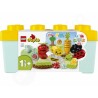 LEGO® DUPLO® 10984 Organická záhrada