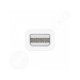Apple Thunderbolt to FireWire Adapter (MD464ZM/A)