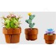 LEGO® Botanicals 10329 Miniatúrne rastliny