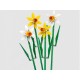 LEGO® Botanicals 40747 Narcisy