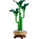 LEGO® Botanicals 10344 Bambus šťastia