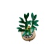 LEGO® Botanicals 10344 Bambus šťastia