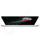 15" MacBook Pro A1398 (Mid-2015) i7-4770H 2,2GHz 16GB 256GB SSD MacOS