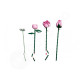 LEGO® Botanicals 10374 Kytice růžových růží