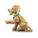 LEGO® Icons 11384 Štěně zlatého retrívra