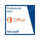 Microsoft Office 2013 Professional